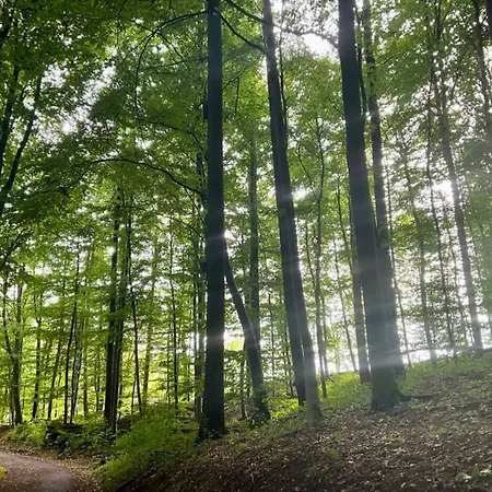 Aussichtsreich * Bad Pyrmont